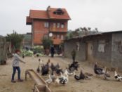 Les joies de la ferme chez les Hoti au Kosovo