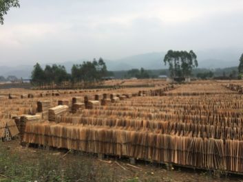 L'industrie du bois est gigantesque dans cette partie de la Chine
